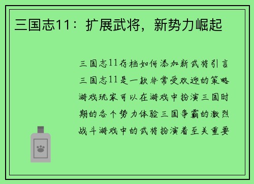 三国志11：扩展武将，新势力崛起
